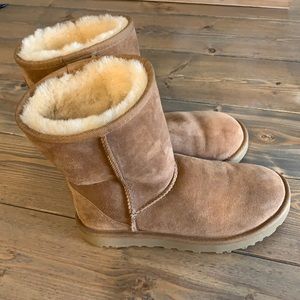 Uggs Classic Short Chestnut